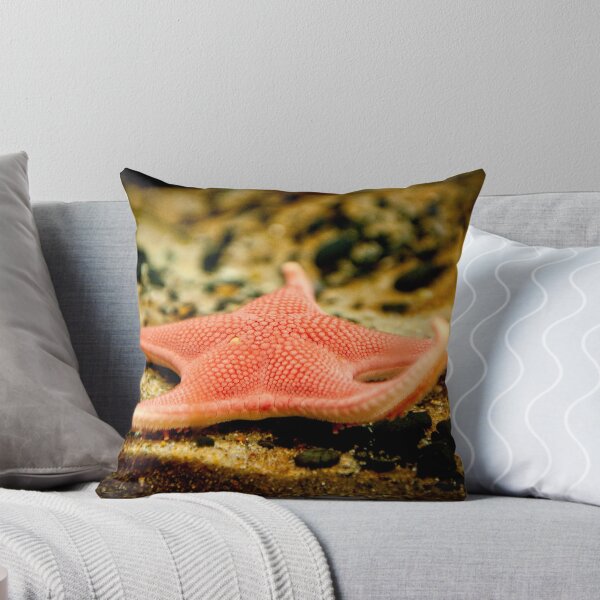Item preview, Starfish designed and sold by Jodi Morgan.