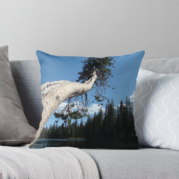 Item preview, Awkwardly Cool designed and sold by Affirmation.