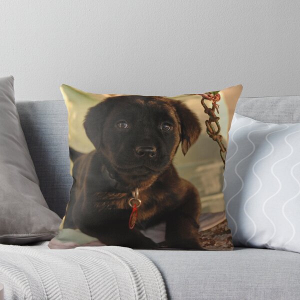 Item preview, Baby Frank designed and sold by C David Cook.