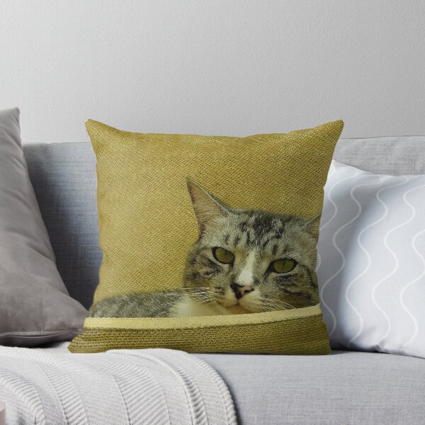 Artikelvorschau, Cat in a hammock entworfen und verkauft von ChristinaR.