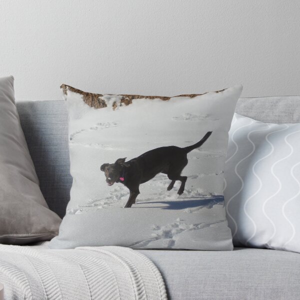 Item preview, Snow Fun Is So Fun designed and sold by Aaron Stramiello.