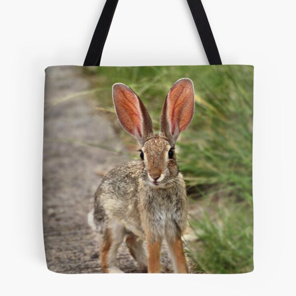 Item preview,  AZ USA


Nikon D-90
Lente VR 70-300 mm a 300 mm
1/50 designed and sold by Barbara Manis.