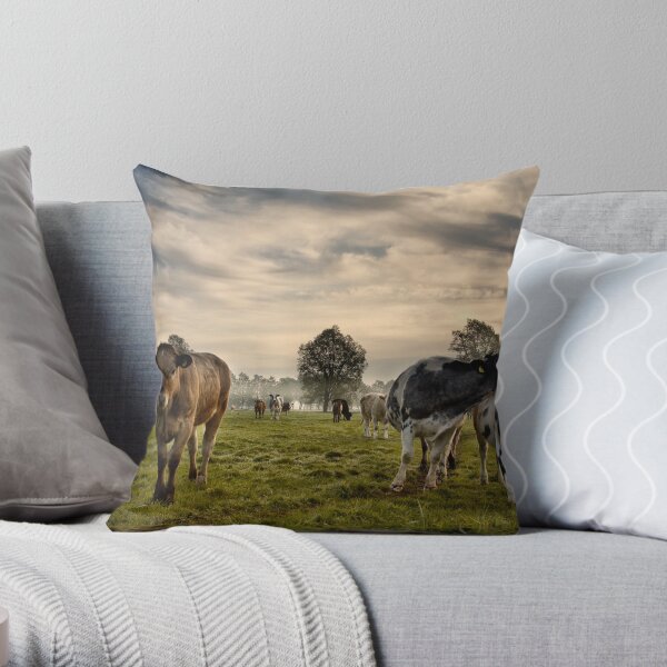 Cows In The Morning Throw Pillow