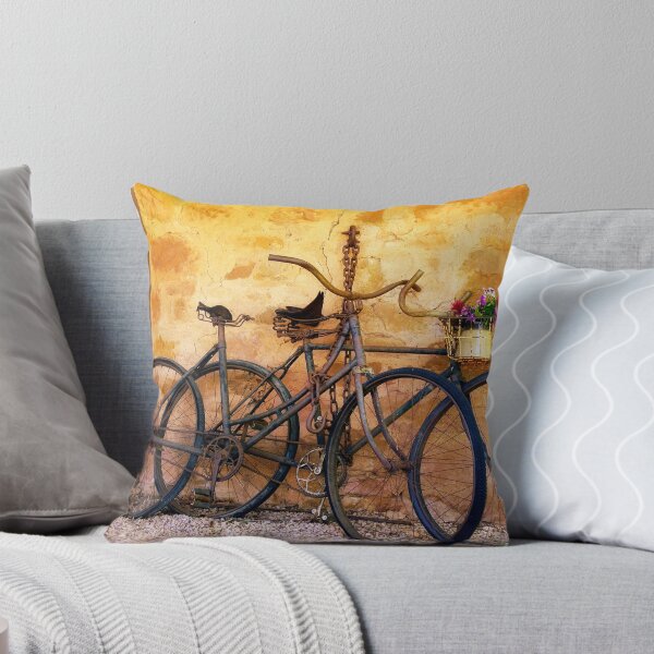 Item preview, Bicycles designed and sold by John P Stein.