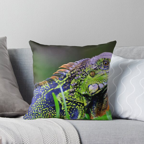 Item preview, Green Iguana (Iguana iguana) - Costa Rica designed and sold by Jason Weigner.