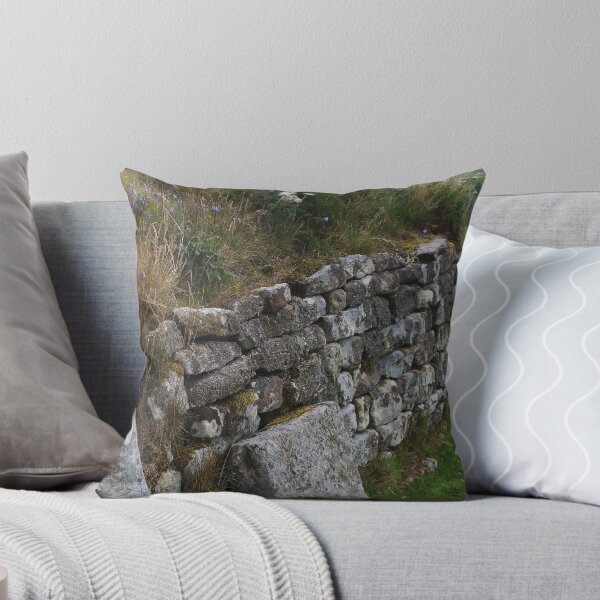Item preview, Wildflowers on Hadrian's Wall designed and sold by rualexa.