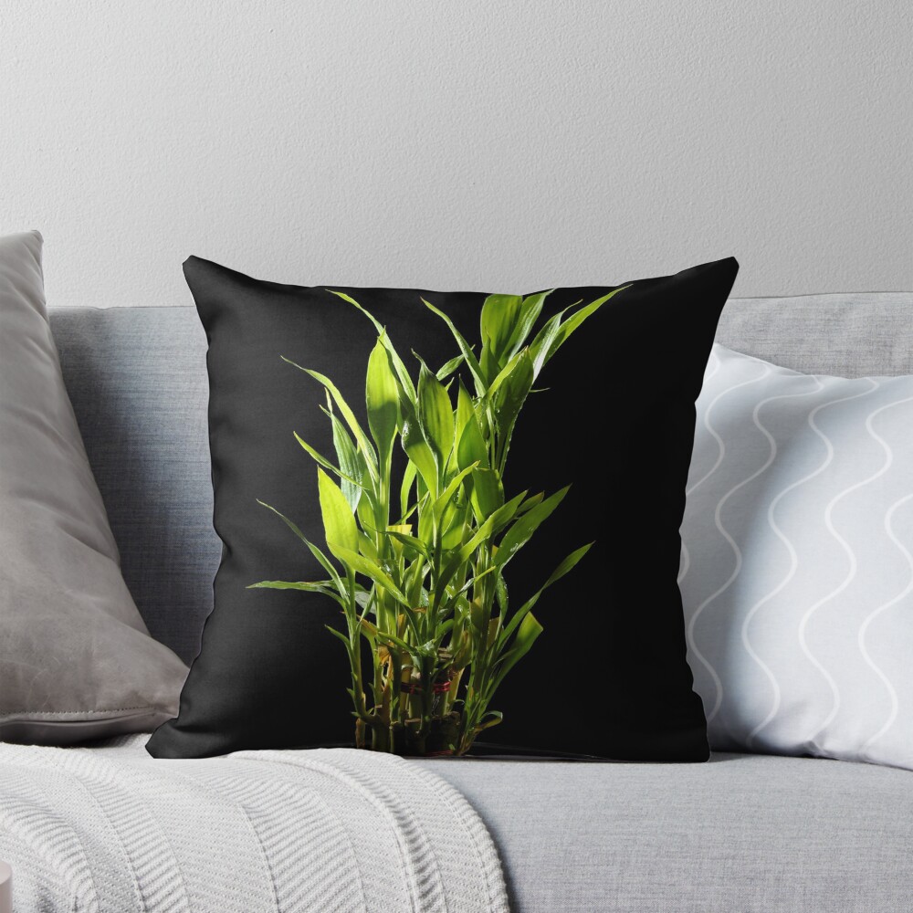 Item preview, Throw Pillow designed and sold by RakeshSyal.