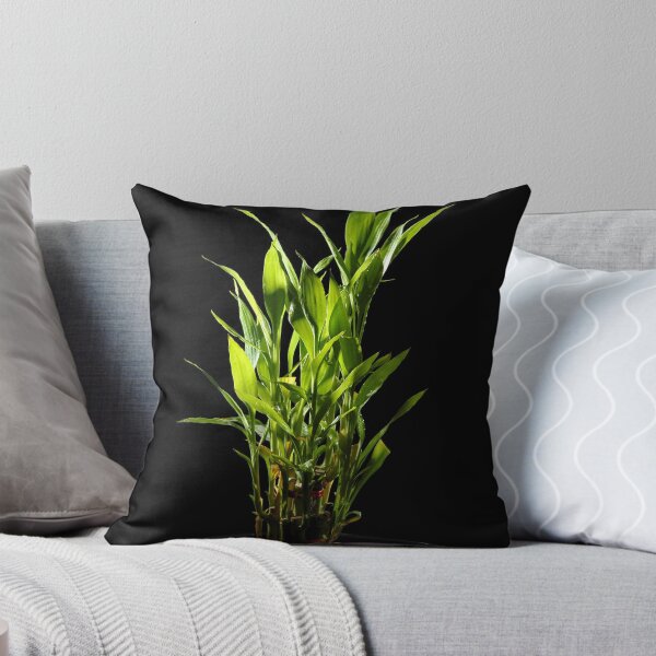 Item preview, FENG SHUI BAMBOO designed and sold by RakeshSyal.