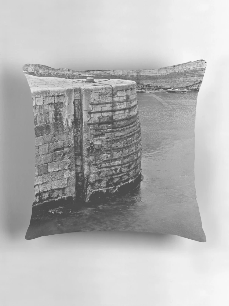 Aperçu 3 sur 4. Coussin avec l'œuvre créée et vendue par Rafael López.