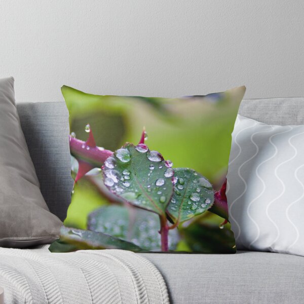 Item preview, Raindrops keep falling... designed and sold by JRHPhotography.