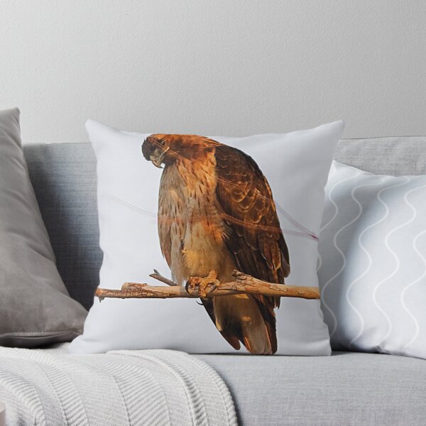 Item preview, 0821102 Red Tailed Hawk designed and sold by Marvin Collins.