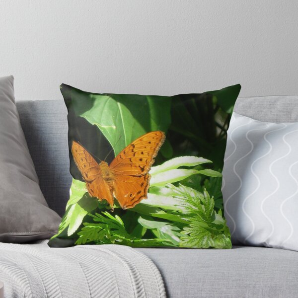 Item preview, Butterfly in a Sunbeam - Butterfly House Kuranda QLD designed and sold by Kim  Lambert.