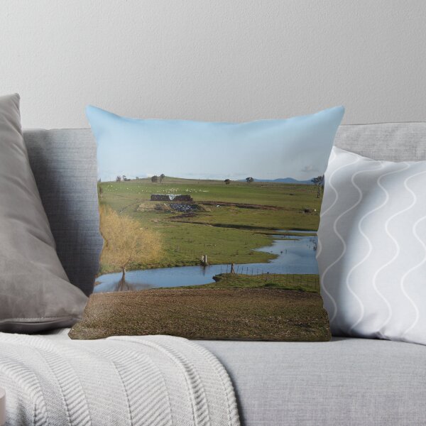 West of Hall In NSW Australia. Throw Pillow
