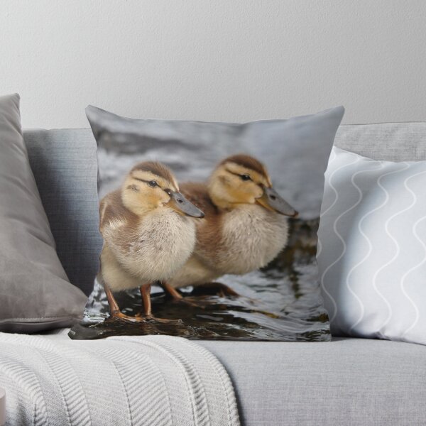 Mallard Ducklings Throw Pillow
