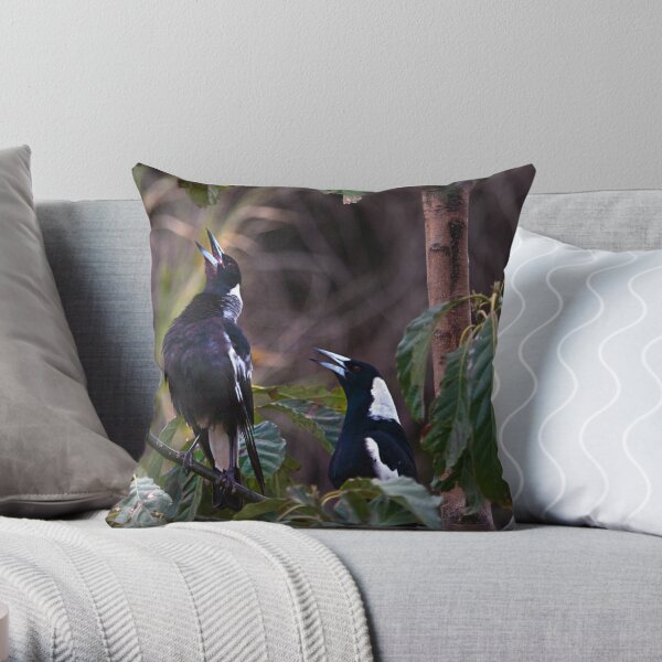 Australian magpies singing Throw Pillow