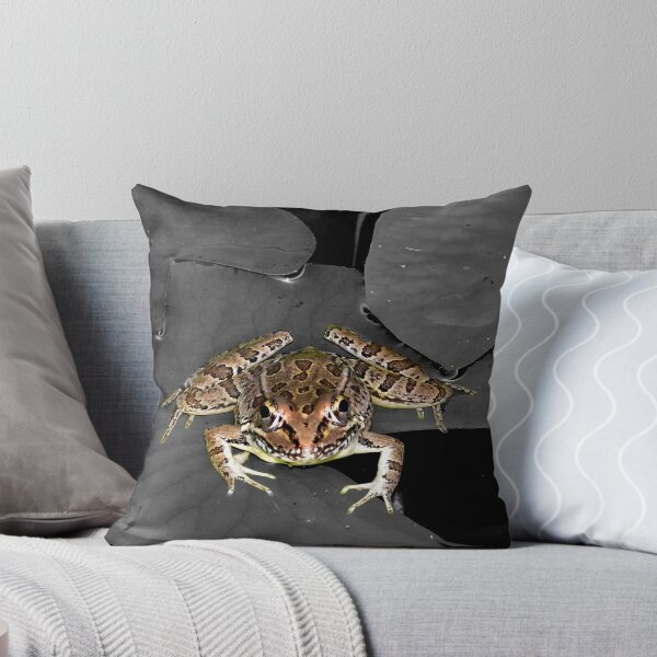 Item preview, confident prints designed and sold by GuyAmazed.