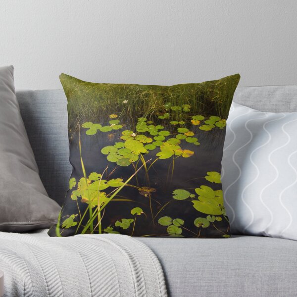 Waterway Throw Pillow