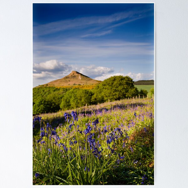 Item preview, Bluebells designed and sold by Stewart Laker.