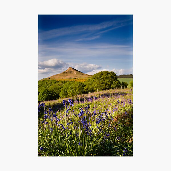 Item preview, Bluebells designed and sold by Stewart Laker.