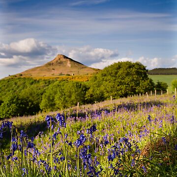 Artwork thumbnail, Bluebells by Stewart Laker