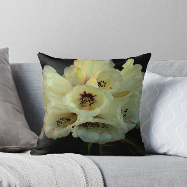 Artikelvorschau, "Rhododendron Grande...." entworfen und verkauft von Rosehaven.