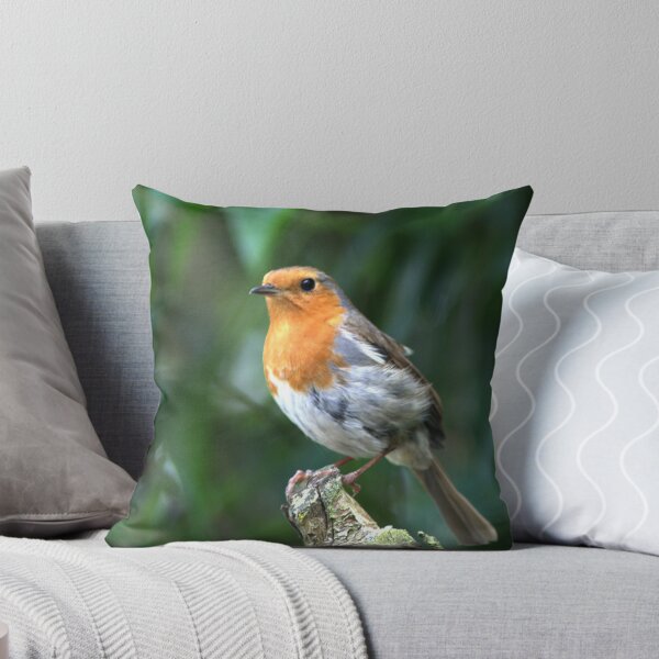 Item preview, Robin 3 designed and sold by days-photographic.