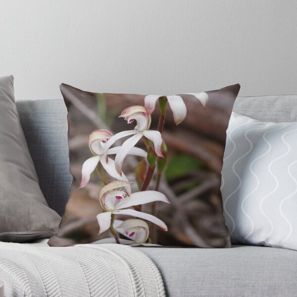 Early Caladenia - Stegostyla praecox Throw Pillow