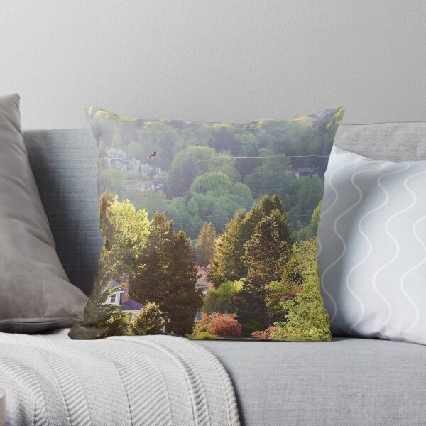 Robin on a Wire Throw Pillow