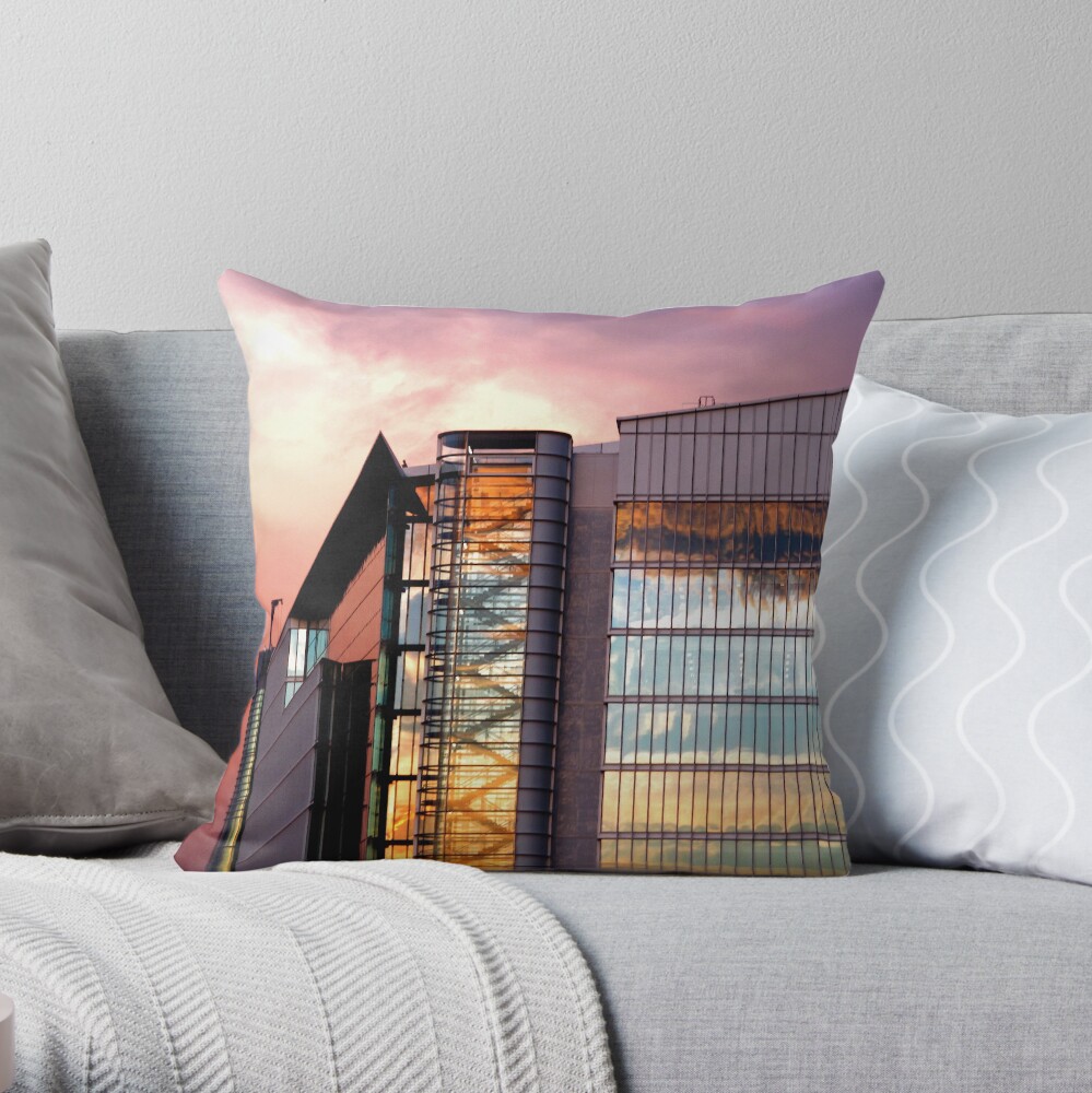 Looking Forward Throw Pillow
