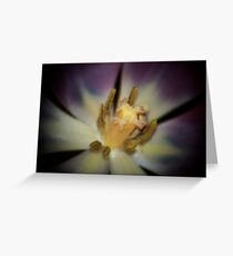 Nectar Greeting Card