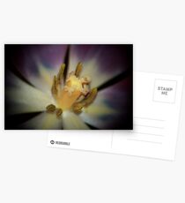 Nectar Postcards