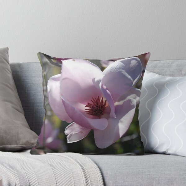Aperçu de l'œuvre Sunlight Magnolia créée et vendue par Catherine Davis.