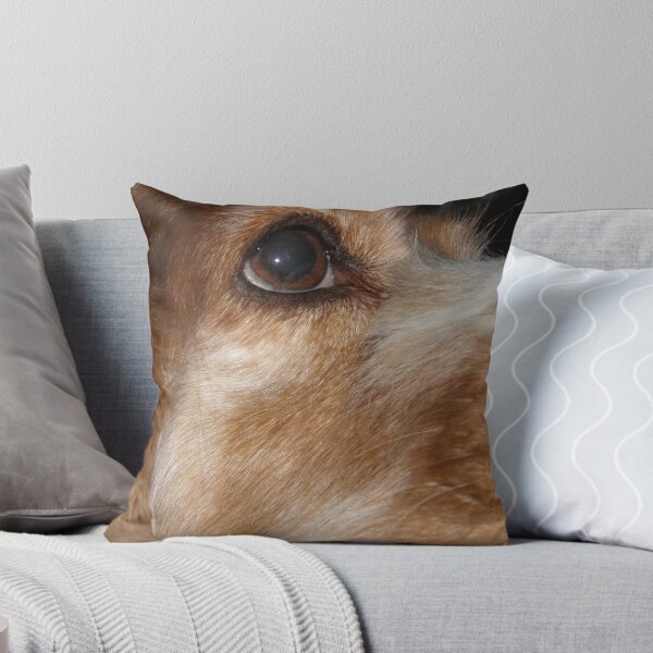 Item preview, Sweet stare designed and sold by Jamaboop.
