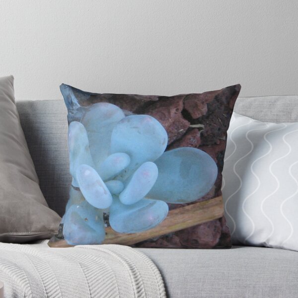 Item preview, Unknown Blue (Sedum Tears of Joy?)  designed and sold by ronholiday.