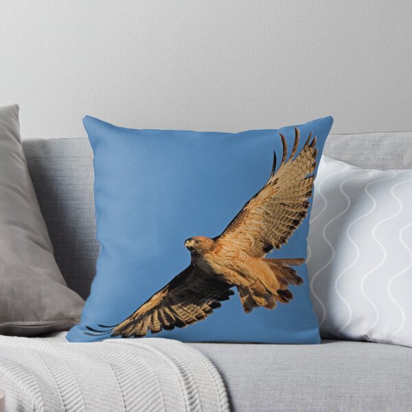 Artikelvorschau, 090110 Red Tailed Hawk entworfen und verkauft von Marvin Collins.