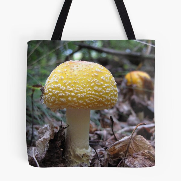 Artikelvorschau, Yellow Fly Agaric entworfen und verkauft von Rusty (Helen)  Valenza.