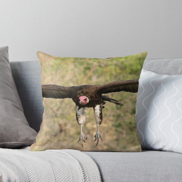 Item preview, Hooded vulture in flight designed and sold by Anthony Goldman.