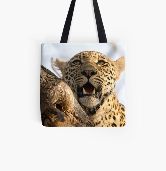 Induna - Young Male Leopard All Over Print Tote Bag