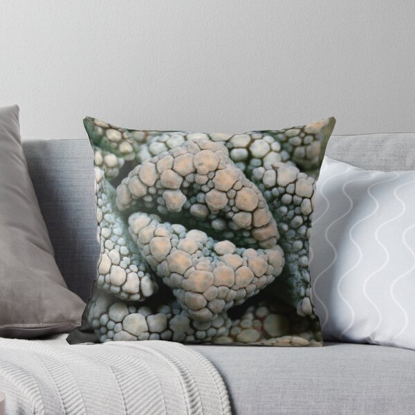 Aperçu de l'œuvre Titanopsis créée et vendue par Etwin.
