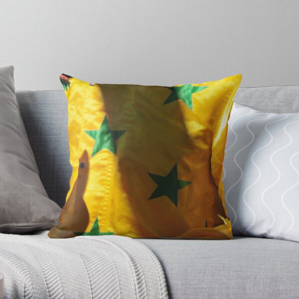 Casak 26 Throw Pillow