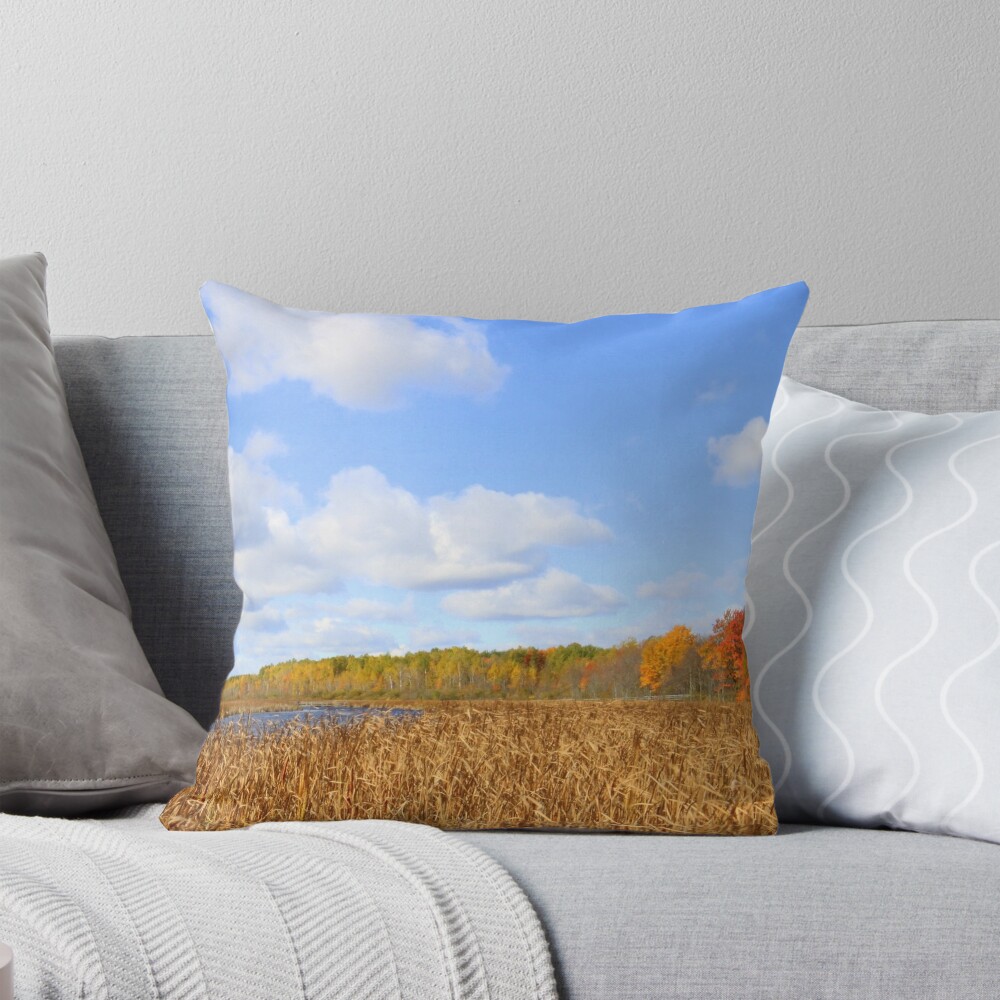 Item preview, Throw Pillow designed and sold by spaterson.