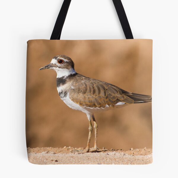 Item preview, Killdeer designed and sold by Chris Heising.
