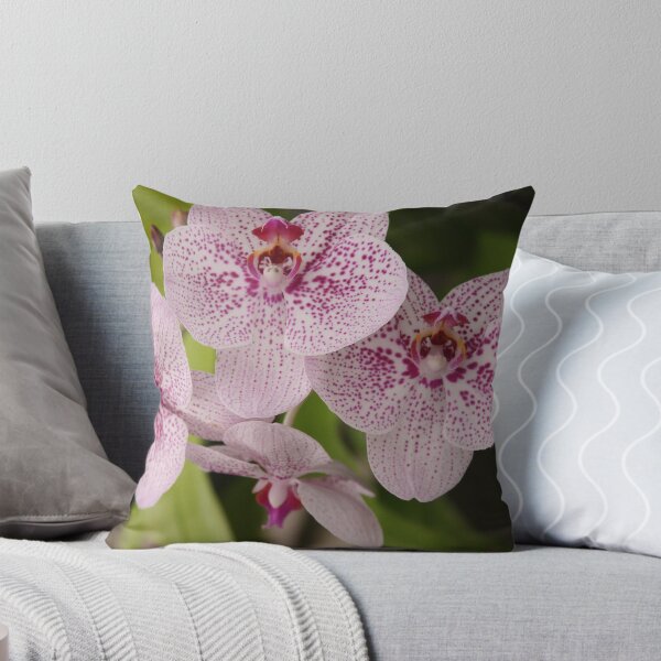 Item preview, Orchid-strated designed and sold by shadyuk.