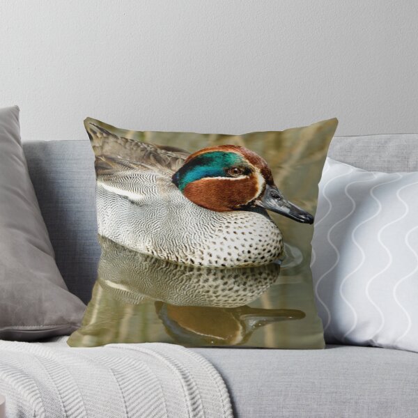 Item preview, Common Teal designed and sold by Robert Abraham.