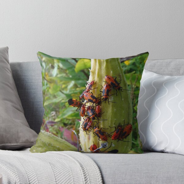 Item preview, Milkweed bugs - party time! designed and sold by Marcia Rubin.