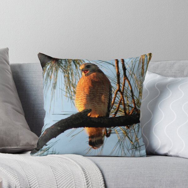 Item preview, Red Shouldered Hawk 1 designed and sold by Jim Sugrue.