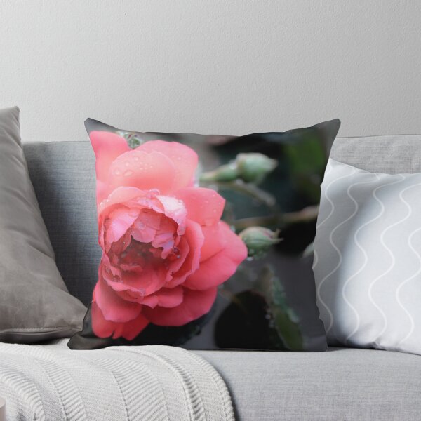 Item preview, Pink Rose designed and sold by DM-Photo.