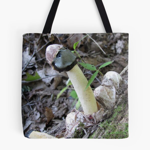 Item preview, Stink Horn designed and sold by Rusty (Helen)  Valenza.