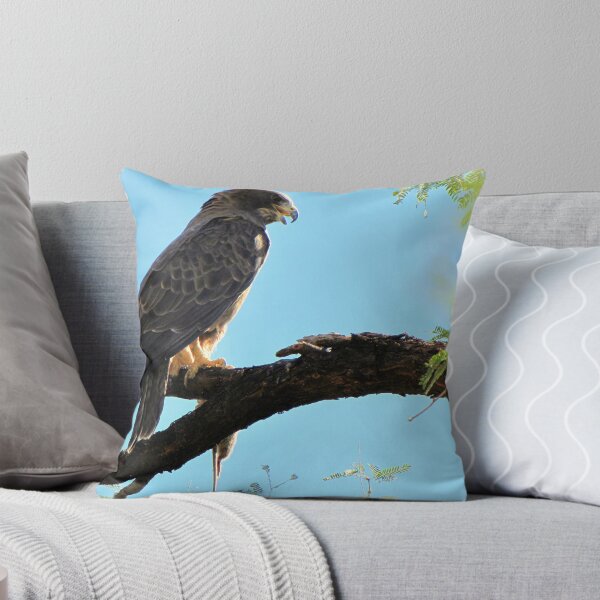 Item preview, Swainson’s Hawk designed and sold by Luck of the Shutter.