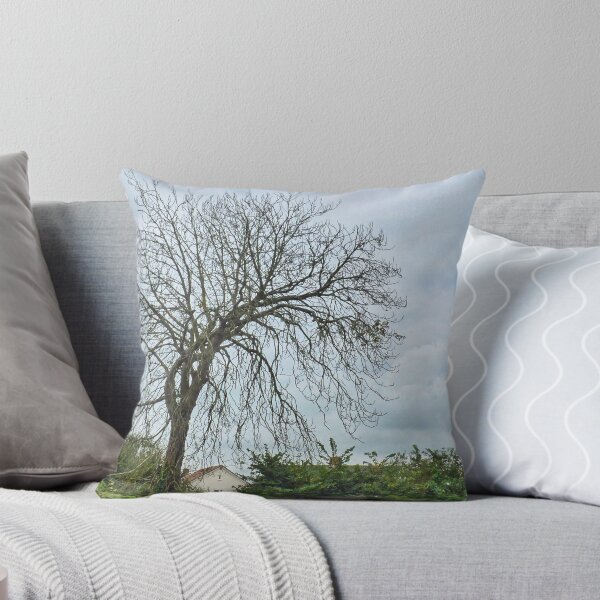Item preview, Where Have All The Leaves Gone designed and sold by lynn carter.